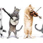 music-cats