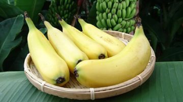 "Mongee" banane