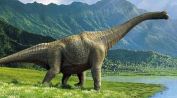 Otkriveni otisci dinosaura stari 170 milijuna godina