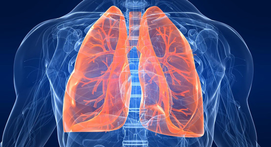 Ljudsko tijelo - pluća