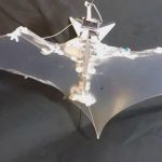 "Bat Bot" robot