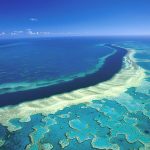 Obnavljanje Velikog koraljnog grebena