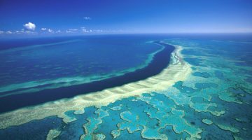 Obnavljanje Velikog koraljnog grebena