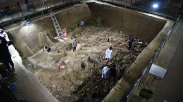 Otkriveni ostaci pogrebne povorke stari 2400 godina