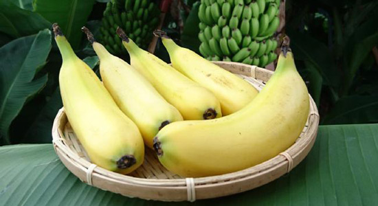"Mongee" banane