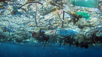 Čišćenje otpada iz oceana