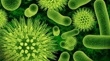 Antibiotici kao hrana bakterija