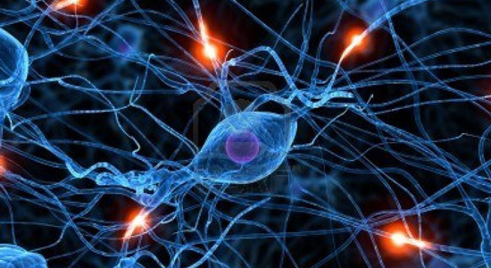 Izračunavanje faza staničnog ciklusa